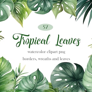 Tropische bladeren PNG, aquarel tropisch blad clipartbundel, groen clipart, bladerenrand, gebladerte, zomer, digitale download