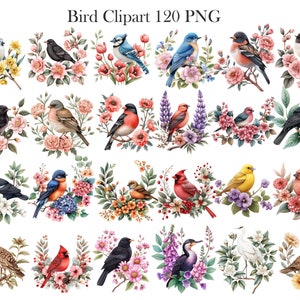 May include: A set of 120 digital bird clip art images. Each image features a colorful bird perched on a branch with flowers. The birds are depicted in a variety of poses and with different floral arrangements.