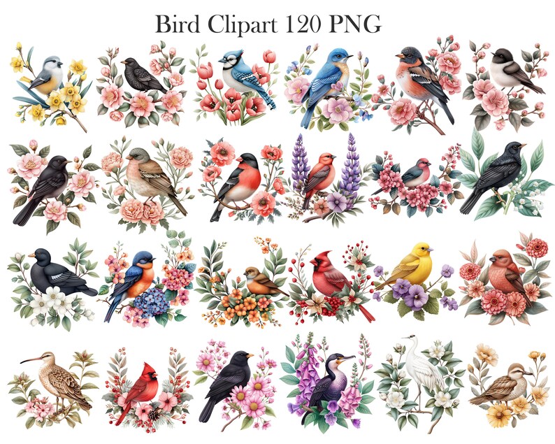 May include: A set of 120 digital bird clip art images. Each image features a colorful bird perched on a branch with flowers. The birds are depicted in a variety of poses and with different floral arrangements.