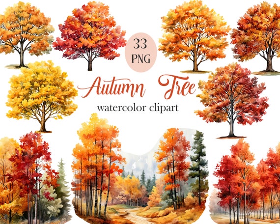Autumn Tree PNG, Watercolor Autumn Tree Clipart Bundle, Fall Tree Border, Sublimation, Nature, Scrapbooks, Digital Download
