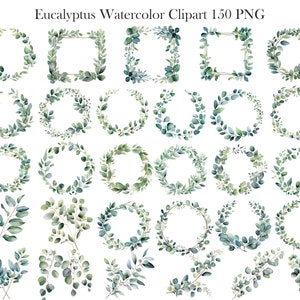 Eucalyptus PNG, Watercolor Eucalyptus Clipart Bundle, Greenery Clipart, Green Leaves, Eucalyptus Border Wreath, Wedding Clipart, Foliage image 5