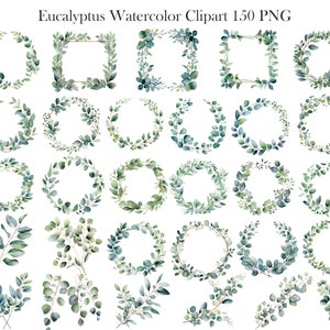 Eucalyptus PNG, Watercolor Eucalyptus Clipart Bundle, Greenery Clipart, Green Leaves, Eucalyptus Border Wreath, Wedding Clipart, Foliage zdjęcie 5