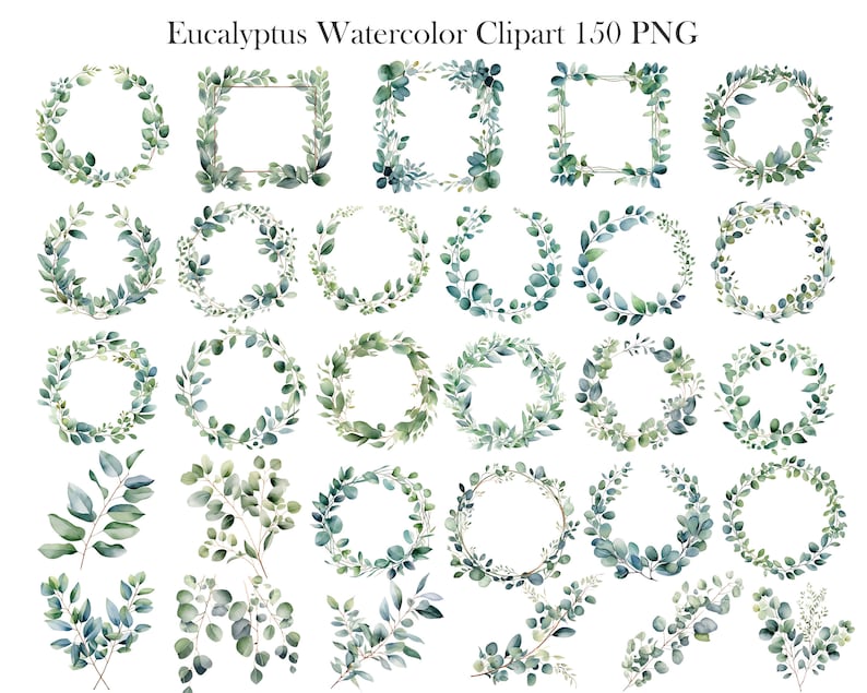 May include: A set of 30 watercolor eucalyptus wreaths and branches in shades of green. The wreaths are perfect for adding a touch of nature to your designs.