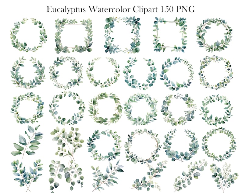 Eucalyptus PNG, Watercolor Eucalyptus Clipart Bundle, Greenery Clipart, Green Leaves, Eucalyptus Border Wreath, Wedding Clipart, Foliage image 5