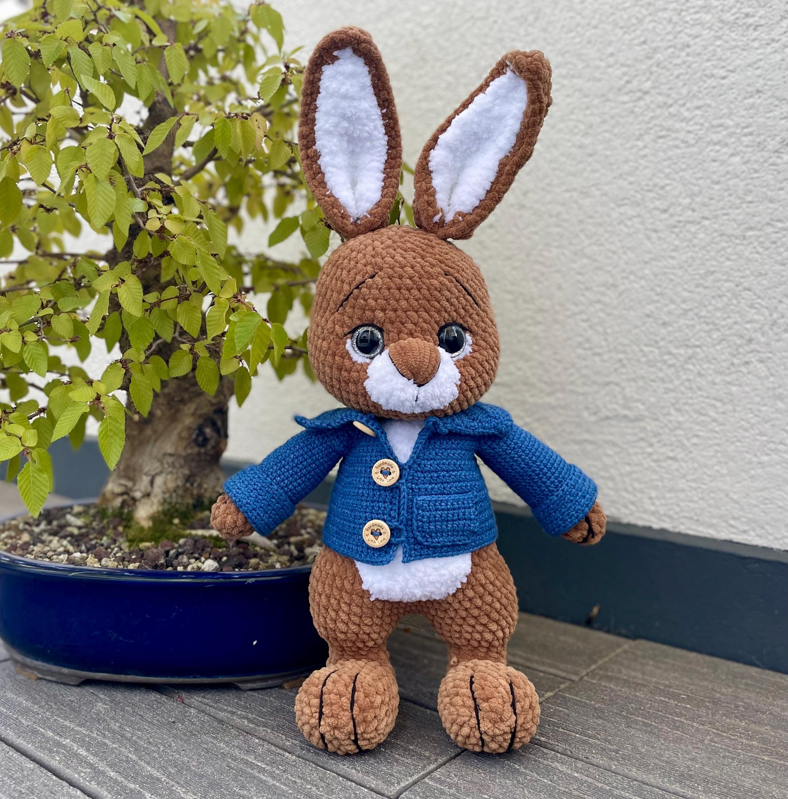 Peter Rabbit Crochet Bunny