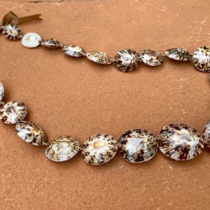 Da Hawaiian Store Genuine Opihi Limpet Shell Lei Necklace - Etsy