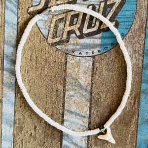 May include: White beaded necklace with a shark tooth pendant. The necklace is made of small, round white beads strung together. The shark tooth is off-white with a small silver-colored clasp. The background is a wooden surface with a blue and white logo.