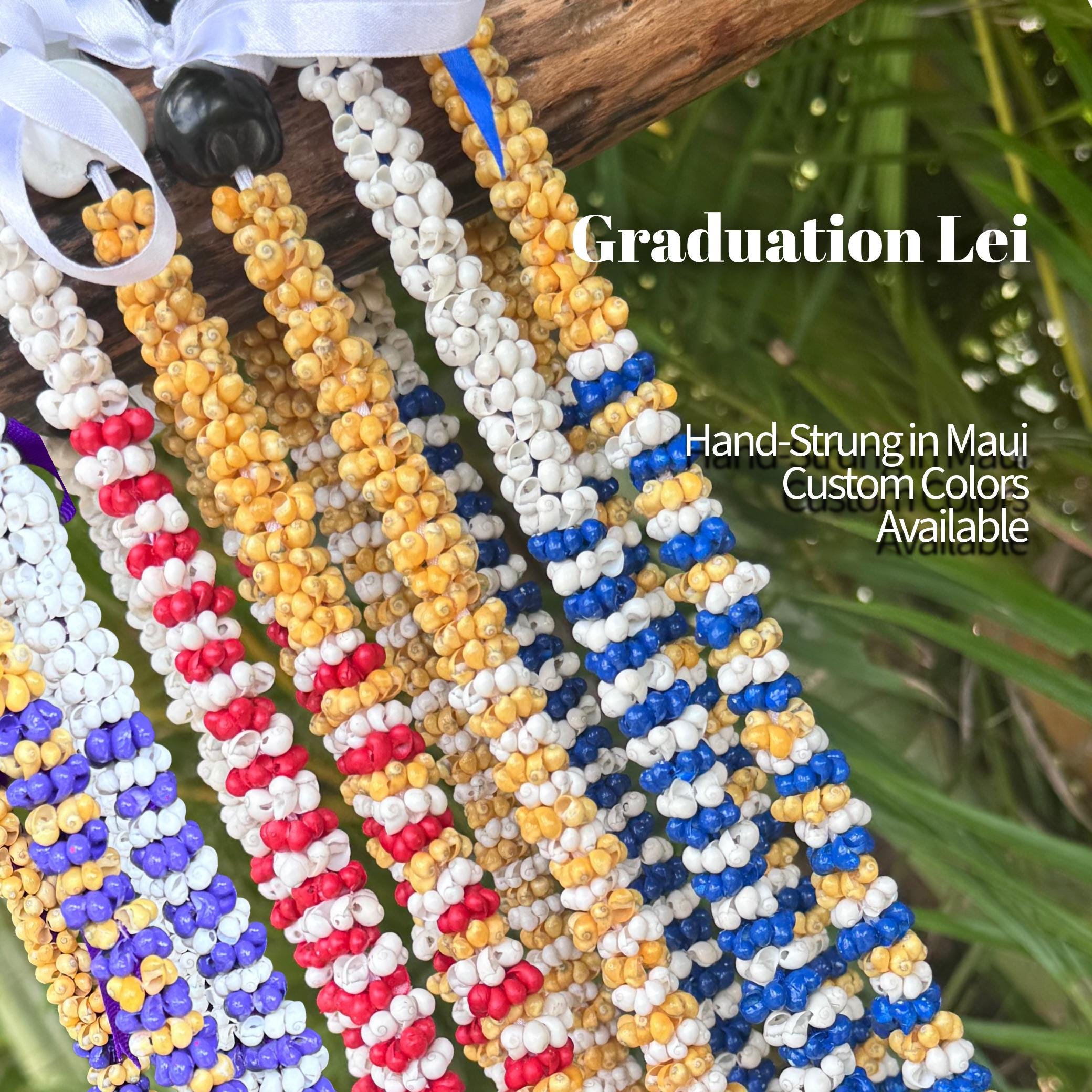 Graduation Shell Lei With Kukui Nut Ends – Hawaiian Lei 2026, Custom ...
