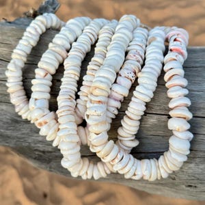Hawaiian Store Large Puka Shell Necklace Choker (Choose)
