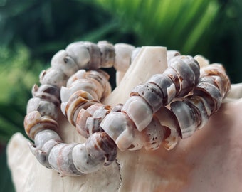 da Hawaiian Store Natural Cone Puka Shell Stretch Bracelet (Choose Color)