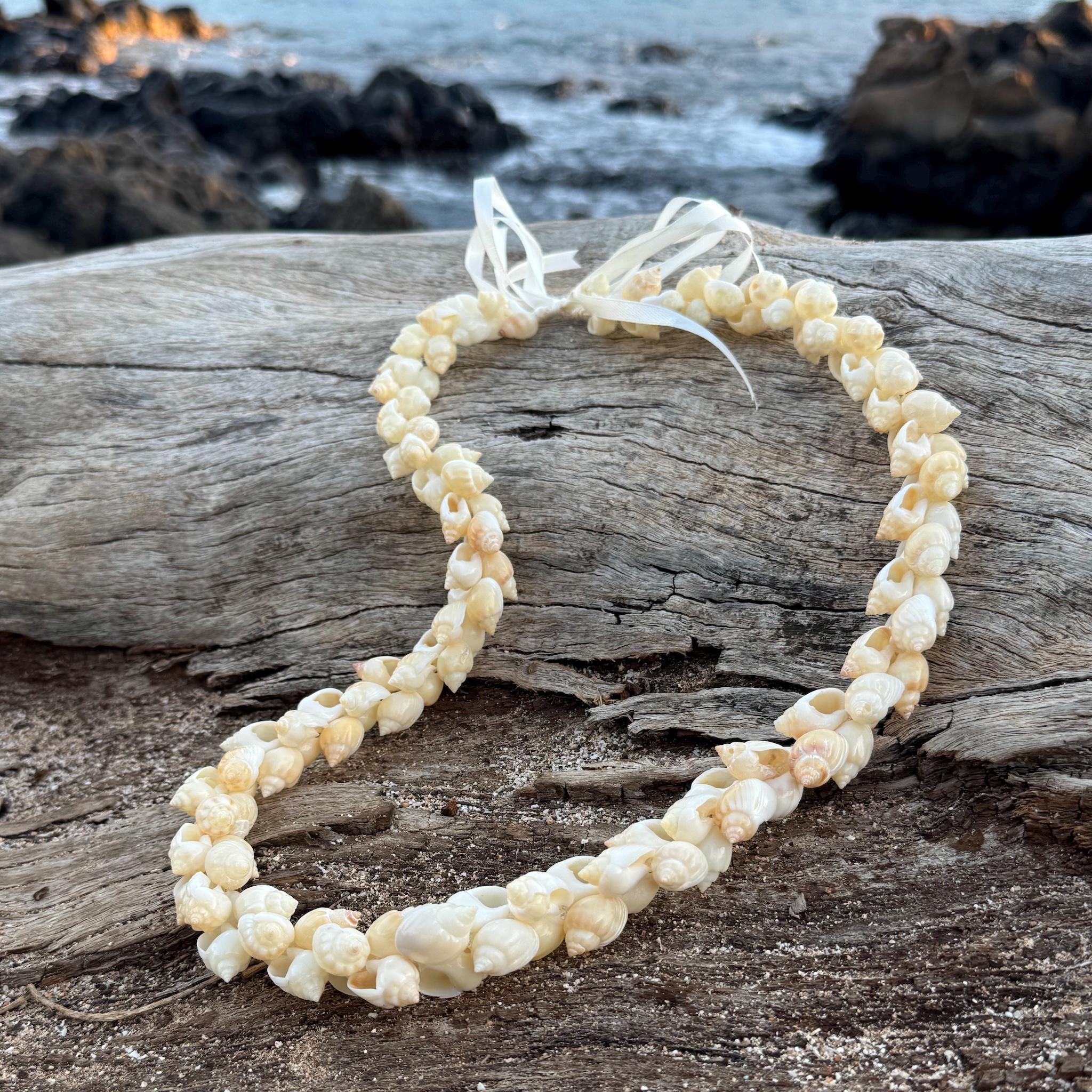 Niihau shells - Etsy 日本