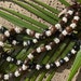 see more listings in the Kukui Nut Lei & Pulsera section