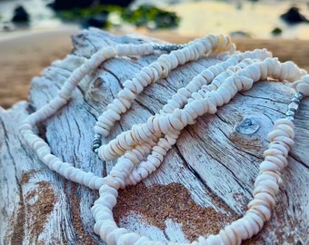 da Hawaiian Store Small Puka Shell Choker Necklace (Choose Length)