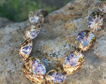 da Hawaiian Store Genuine Opihi Limpet Shell Lei Necklace