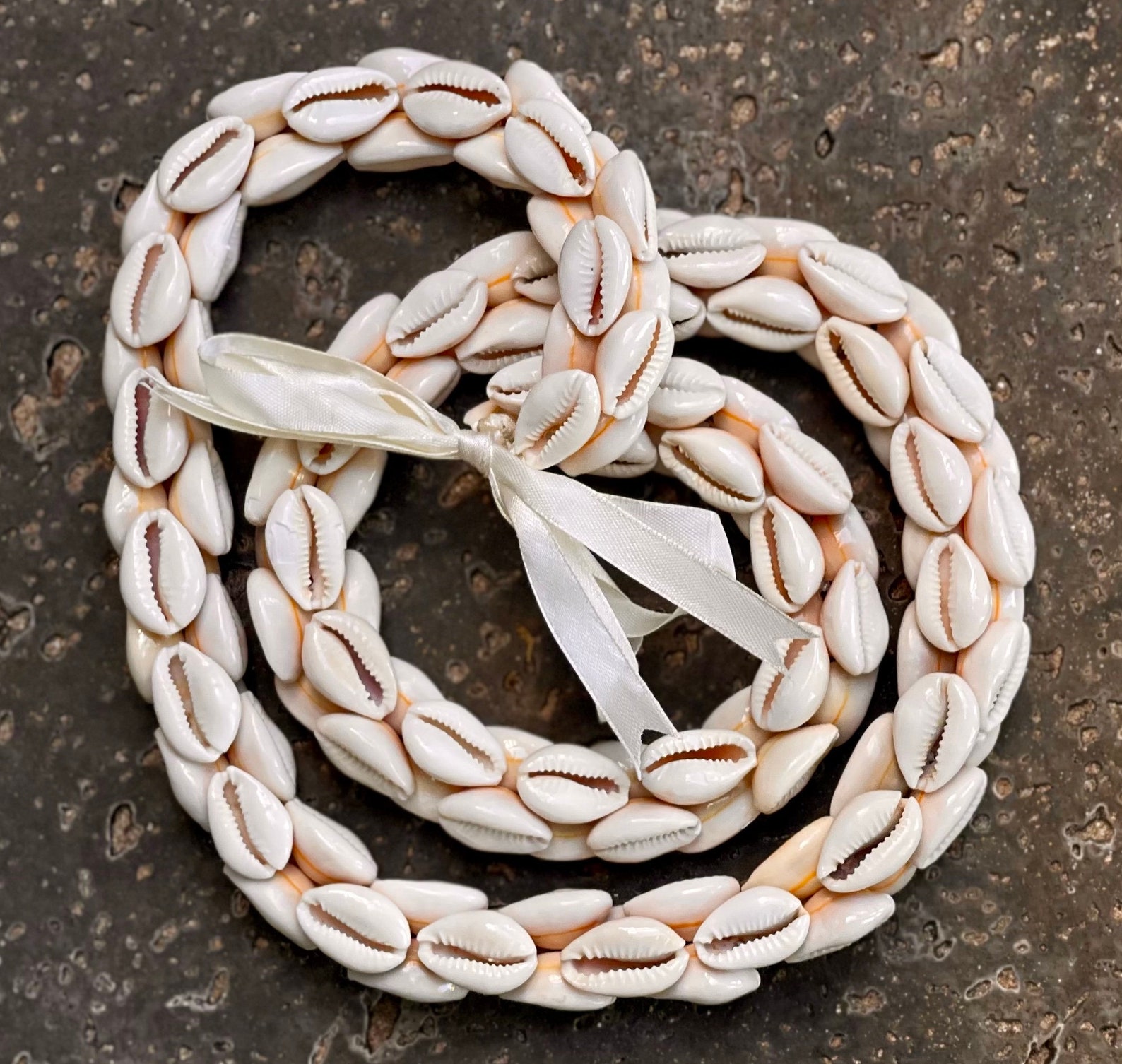 Da Hawaiian Store Genuine Ring Top Braided Cowrie Cowry Shell Lei. - Etsy