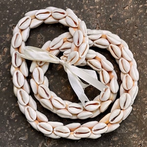 May include: A decorative garland made of white seashells, tied together with a cream-colored ribbon. The shells are oval-shaped and arranged in a circular pattern. The garland is a natural, beach-themed decorative item.