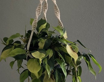 Macramé plantenhanger