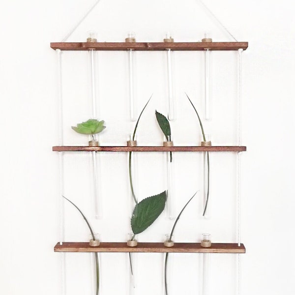 Propagation station shelf, Hanging plant Wall tubes propagation vase, Plant cuttings propagation jar, Wall propagation tube 12 vials