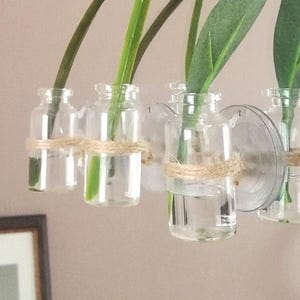 Hydroponic planter, Window propagation station, Live hydroponic vase, Floating propagation tube with suction cup, 20 ml jar