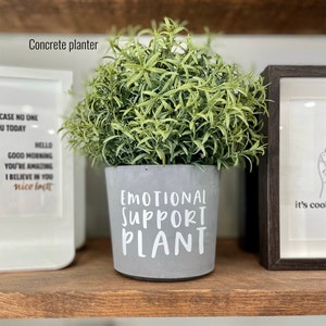 Emotional Support Plant | Concrete Planter | Gold Planter
