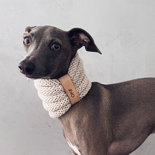 whippet snood / Greyhound snood / iggy raincoat / iggy clothes / ropa para galgo italiano y whippet / Knit Snood / SAND