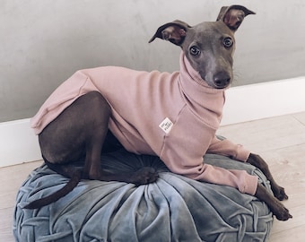 italian greyhound and whippet clothes / iggy clothes / Dog Sweater / clothes for italian greyhound and whippet / PALE PINK