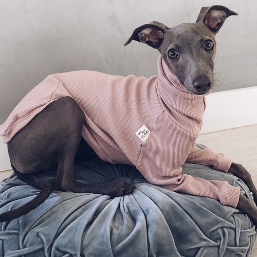 Bitches & Dogs Whippet Iggy Italian Greyhound Surf T-Shirt