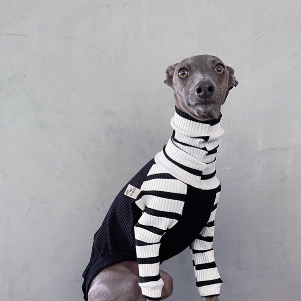 italian greyhound and whippet clothes / iggy clothes / Dog Sweater / stripes dog clothes / clothes for italian greyhound and whippet / BLACK RAGLAN