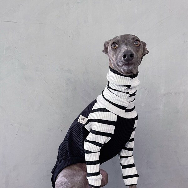 Italian Greyhound Clothes Etsy