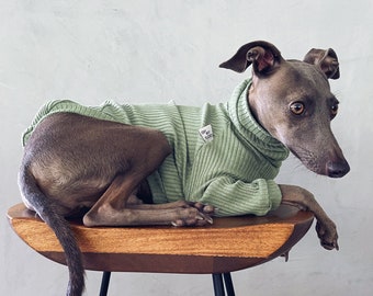 Kleidung für italienische Windhunde und Whippets / Iggy-Kleidung / Hundepullover / gestreifte Hundekleidung / Kleidung für italienische Windhunde und Whippets / OLIVE