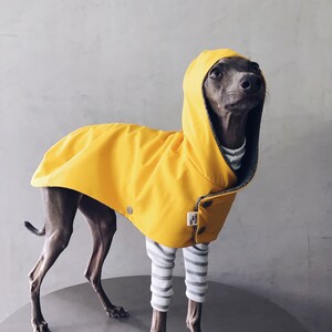 iggy and whippet raincoat / waterproof and windproof coat / iggy raincoat / iggy clothes / ropa para golo italiano y whippet / YELLOW image 4