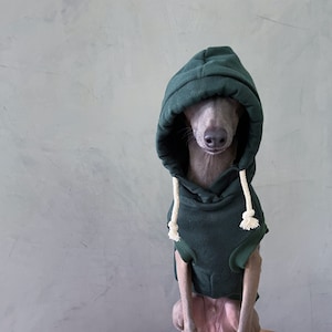 italian greyhound and whippet clothes / iggy clothes / Dog hoodie / stripes dog clothes / clothes for italian greyhound and whippet / GREEN HOODIE image 1