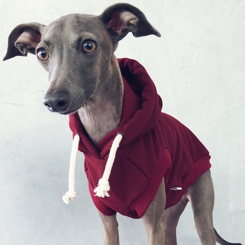 Italian Greyhound Whippet Iggy World's Best Dad Mug T-Shirt