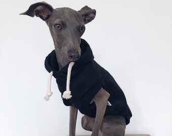 italian greyhound and whippet clothes / iggy clothes / Dog hoodie / stripes dog clothes / clothes for italian greyhound and whippet / BLACK HOODIE