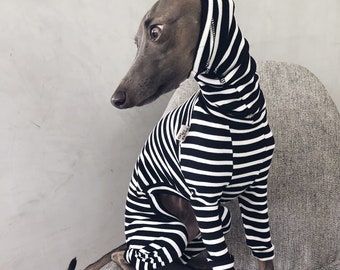 italian greyhound and whippet clothes / iggy jumpsuit / Dog Sweater / dog clothes / ropa para galgo italiano y whippet/ STRIPED JUMPSUIT