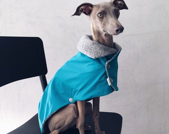 iggy and whippet raincoat / waterproof and windproof coat / iggy raincoat / iggy clothes / ropa para galgo italiano y whippet / TEAL