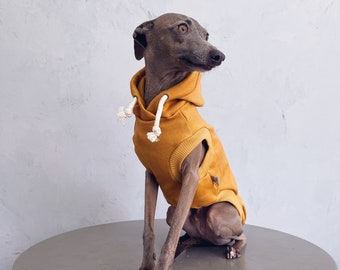 italian greyhound & whippet clothes / iggy clothes / Dog hoodie / stripes dog clothes / ropa para galgo italiano whippet / MUSTARD HOODIE