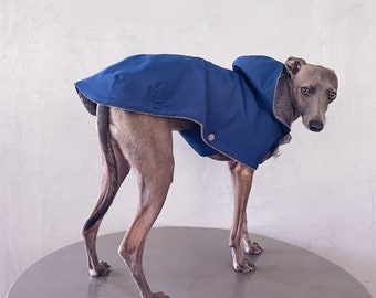 iggy and whippet raincoat / waterproof and windproof coat / iggy raincoat / iggy clothes / ropa para golo italiano y whippet / YALE BLUE