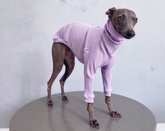 italian greyhound and whippet clothes / iggy clothes / Dog Sweater / stripes dog clothes / ropa para galgo italiano y whippet / LILAC