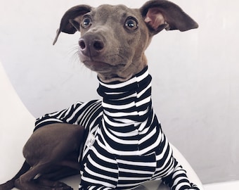 italian greyhound and whippet clothes / iggy clothes / Dog Sweater / stripes dog clothes / ropa para galgo italiano y whippet