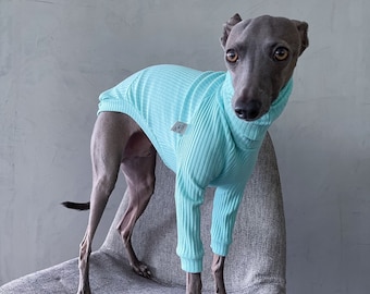 italian greyhound and whippet clothes / iggy clothes / Dog Sweater / stripes dog clothes / clothes for italian greyhound and whippet / MINT