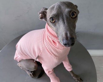 italian greyhound and whippet clothes / iggy clothes / Dog Sweater / stripes dog clothes / ropa para galgo italiano y whippet / FLAMINGO