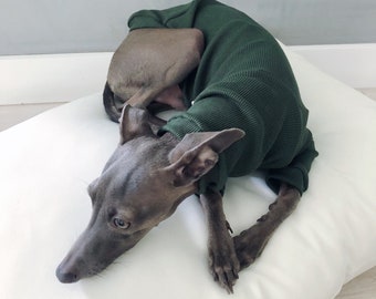 italian greyhound and whippet clothes / iggy clothes / Dog Sweater / clothes for italian greyhound and whippet/ MILITARY GREEN