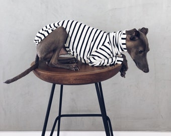 italian greyhound and whippet clothes / iggy clothes / Dog Sweater / stripes dog clothes / clothes for italian greyhound and whippet