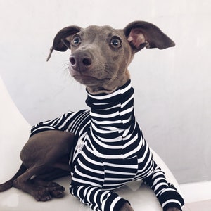 Kleidung für italienische Windhunde und Whippets / Iggy-Kleidung / Hundepullover / gestreifte Hundekleidung / Kleidung für italienische Windhunde und Whippets