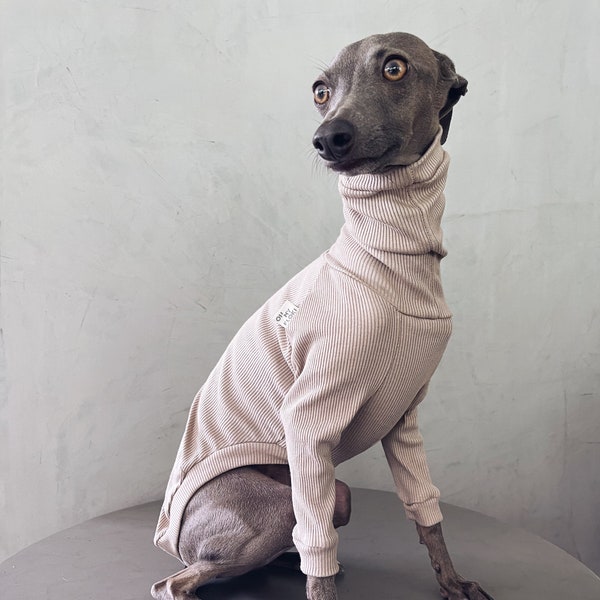 italian greyhound and whippet clothes / iggy clothes / Dog Sweater / stripes dog clothes / ropa para galgo italiano y whippet / SAND