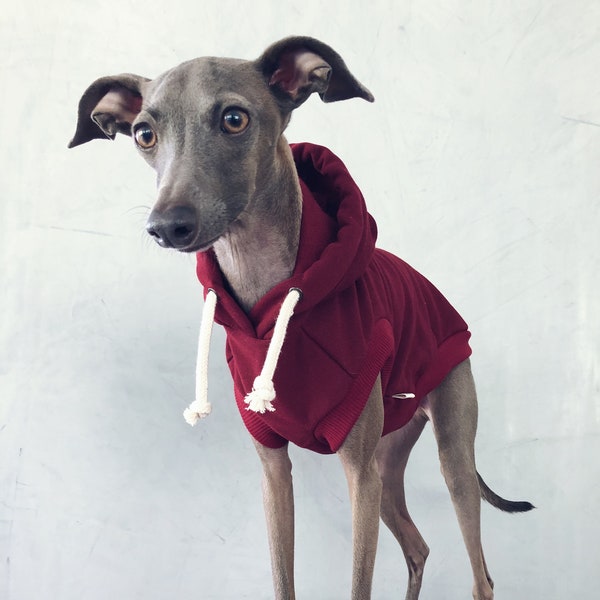 italian greyhound and whippet clothes / iggy clothes / Dog hoodie / dog clothes / ropa para galgo italiano y whippet / BURGUNDY HOODIE