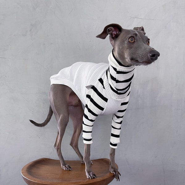 italian greyhound and whippet clothes / iggy clothes / Dog Sweater / stripes dog clothes / ropa para galgo italiano y whippet / WHITE RAGLAN