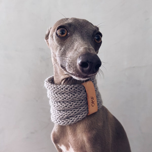 whippet snood / Greyhound snood / iggy raincoat / iggy clothes / clothing for Italian greyhound and whippet / Knit Snood / GRAY