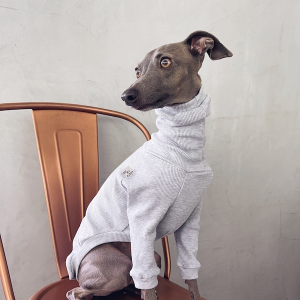 italian greyhound and whippet clothes / iggy clothes / Dog Sweater / stripes dog clothes / ropa para galgo italiano y whippet / LIGHT GRAY